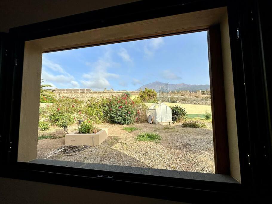 산타크루스데 테네리페 Peaceful Oasis With Magical Sea Views And A Pool 빌라 외부 사진