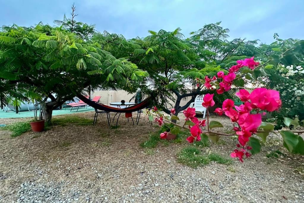 산타크루스데 테네리페 Peaceful Oasis With Magical Sea Views And A Pool 빌라 외부 사진