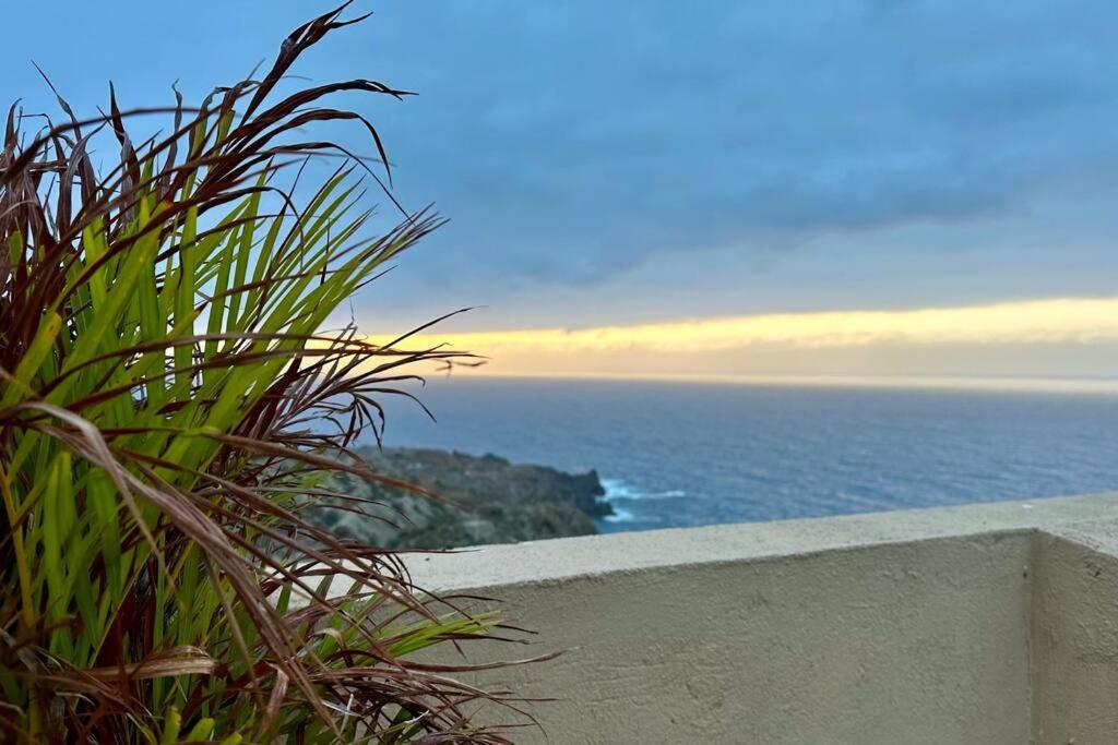산타크루스데 테네리페 Peaceful Oasis With Magical Sea Views And A Pool 빌라 외부 사진