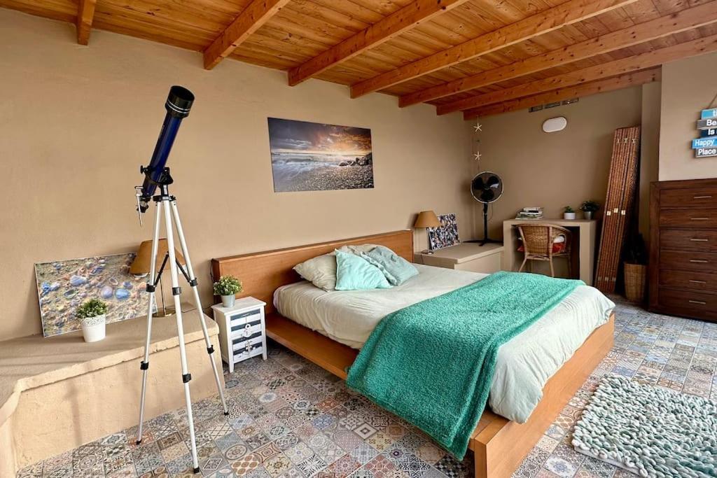 산타크루스데 테네리페 Peaceful Oasis With Magical Sea Views And A Pool 빌라 외부 사진