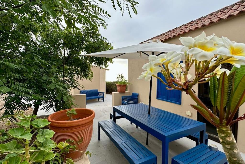 산타크루스데 테네리페 Peaceful Oasis With Magical Sea Views And A Pool 빌라 외부 사진