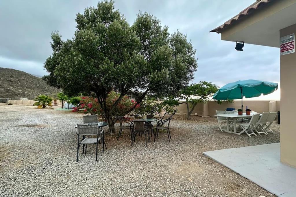 산타크루스데 테네리페 Peaceful Oasis With Magical Sea Views And A Pool 빌라 외부 사진