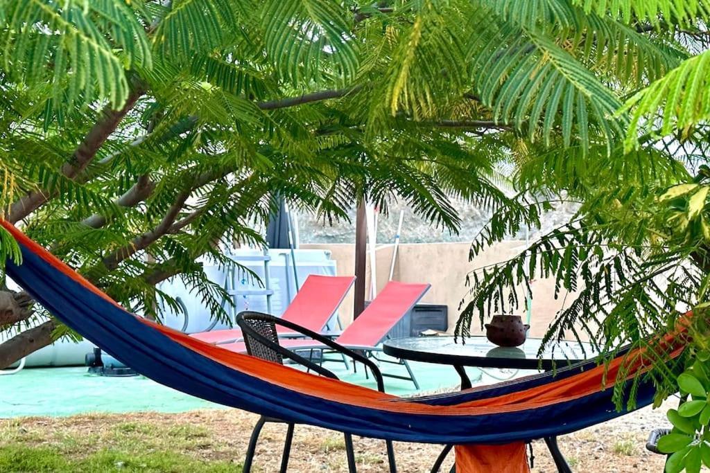 산타크루스데 테네리페 Peaceful Oasis With Magical Sea Views And A Pool 빌라 외부 사진