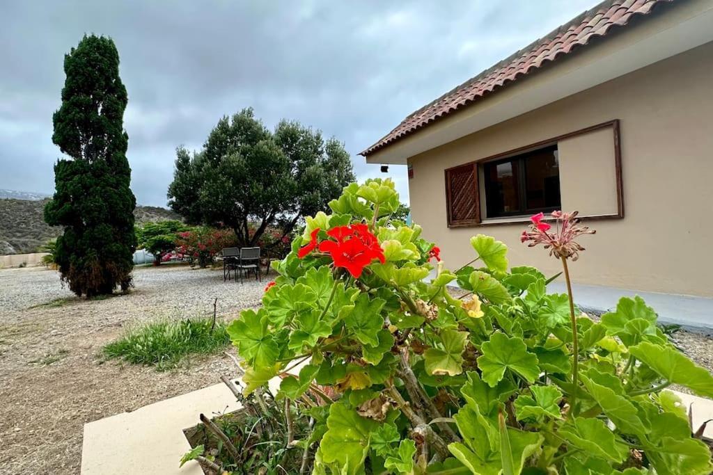 산타크루스데 테네리페 Peaceful Oasis With Magical Sea Views And A Pool 빌라 외부 사진