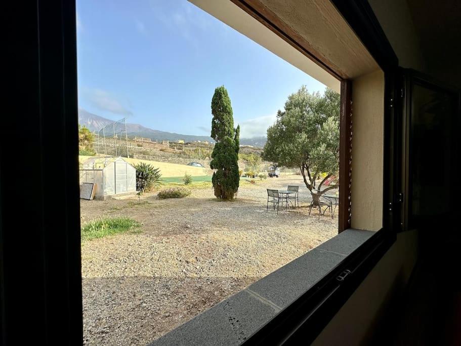 산타크루스데 테네리페 Peaceful Oasis With Magical Sea Views And A Pool 빌라 외부 사진